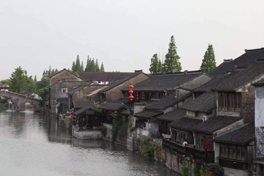 金刚鹦鹉逃生